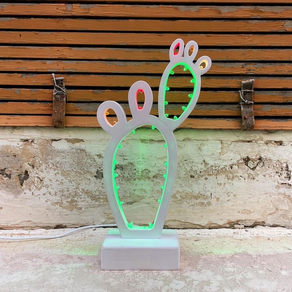 Pala di fico d’india, Luminaria, Luminarie Salentine, Puglia, Compostabile, Led, Stampa 3D, Illuminazione, I Luminari