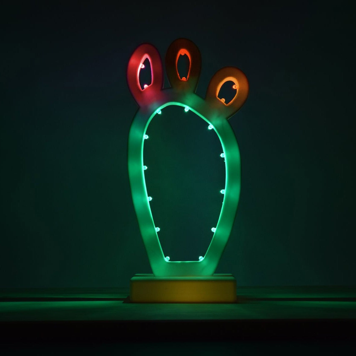 Pala di fico d’india, Luminaria, Luminarie Salentine, Puglia, Compostabile, Led, Stampa 3D, Illuminazione, I Luminari