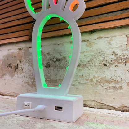 Pala di fico d’india, Luminaria, Luminarie Salentine, Puglia, Compostabile, Led, Stampa 3D, Illuminazione, I Luminari