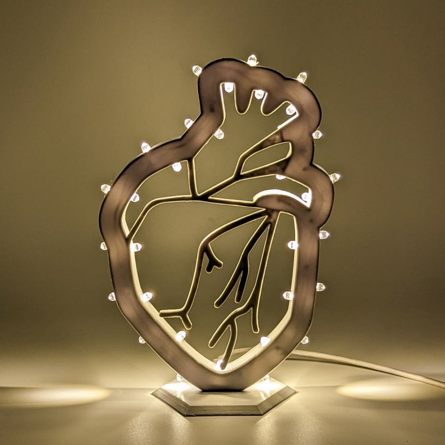 Luminaria, luminaria d'arredo, luminaria eco-friendly, materiali eco-friendly, PLA, cuore anatomico, luminaria tradizionale, luminaria pugliese, puglia, stampa 3d, acido polilattico, brindisi, luminarie brindisi, luminarie puglia