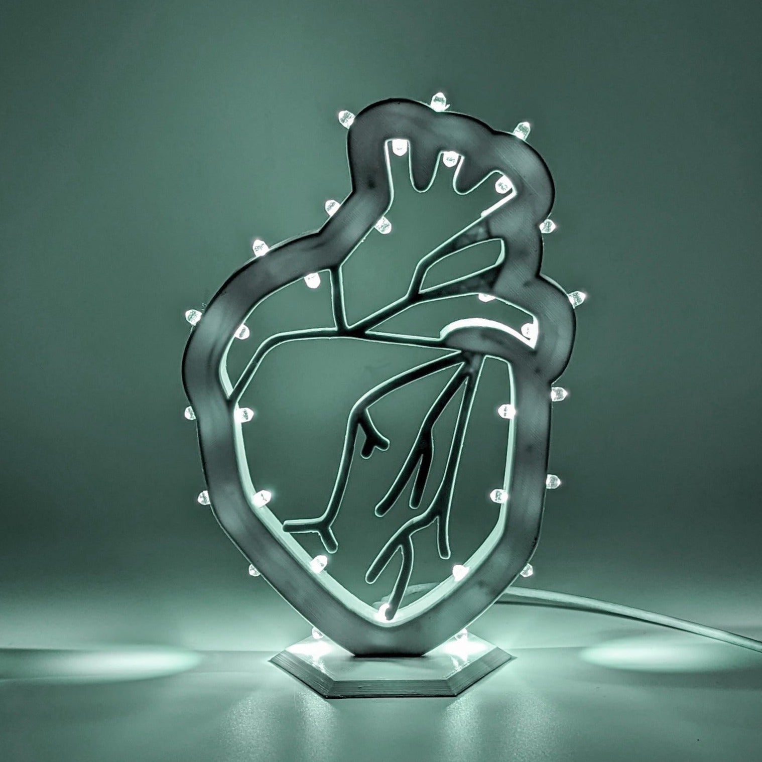 Cuore anatomico – I Luminari