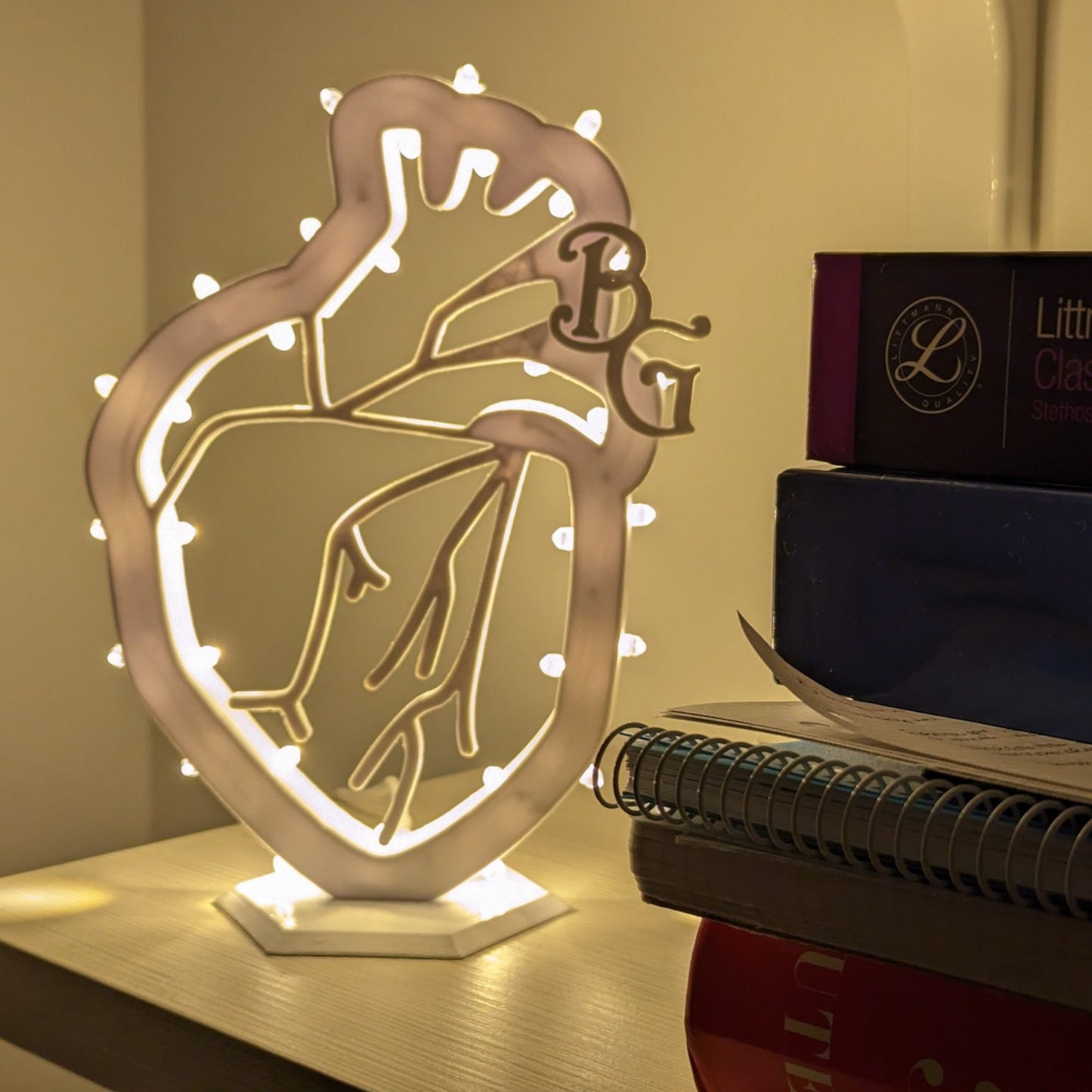 Luminaria, luminaria d'arredo, luminaria eco-friendly, materiali eco-friendly, PLA, cuore anatomico, luminaria tradizionale, luminaria pugliese, puglia, stampa 3d, acido polilattico, brindisi, luminarie brindisi, luminarie puglia